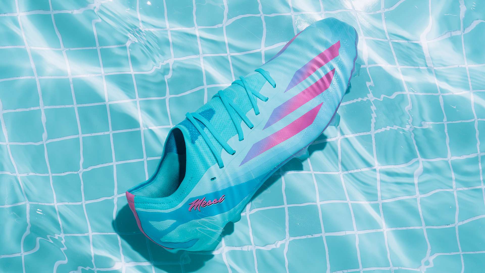 队员们在教 队员们在教